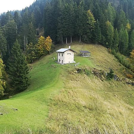 B&B Ai Pini Tiarno di Sopra Bagian luar foto