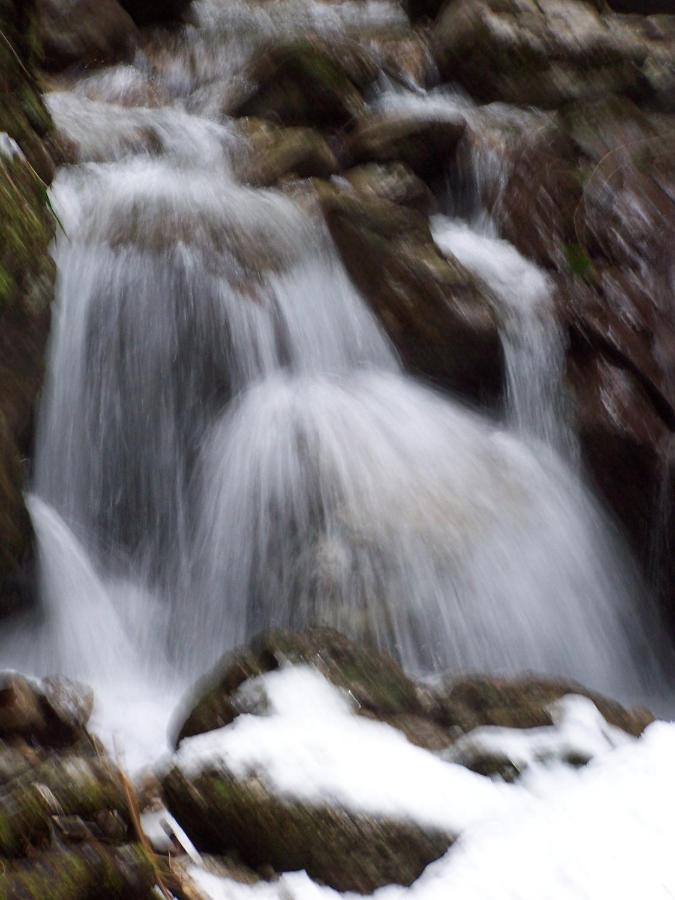 B&B Ai Pini Tiarno di Sopra Bagian luar foto